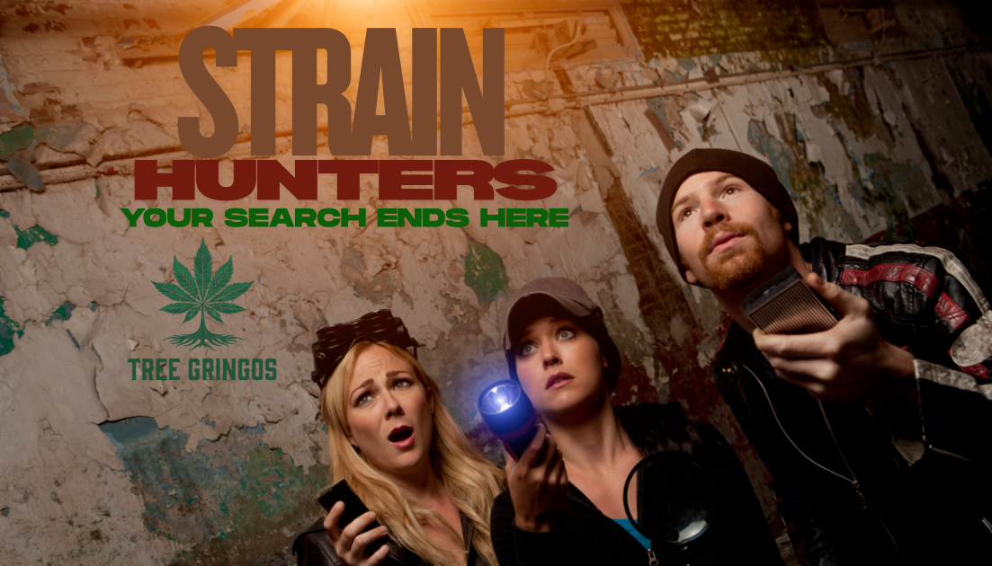 Sell My Canna Harvest