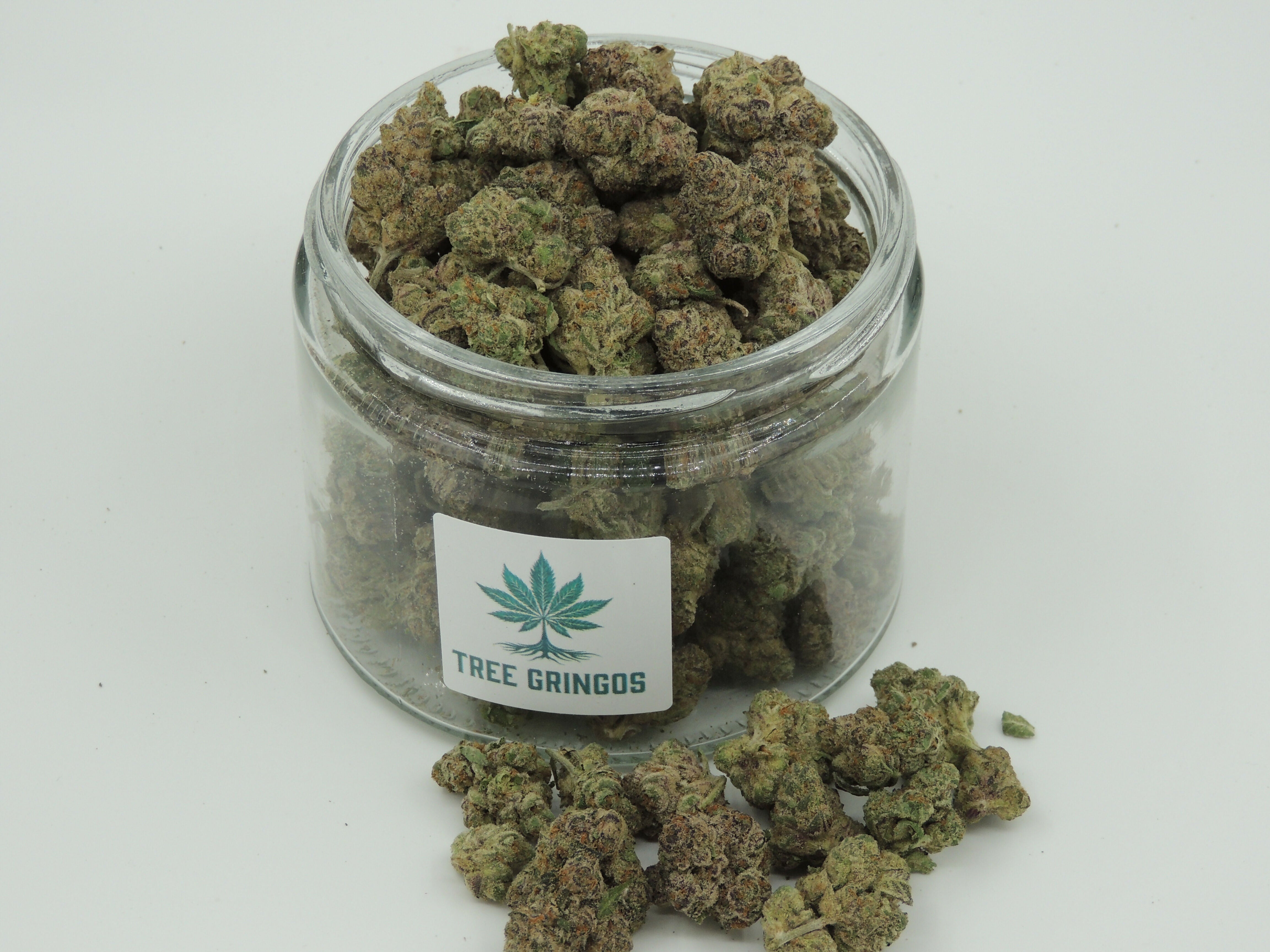 Gassius Clay - Full Buds