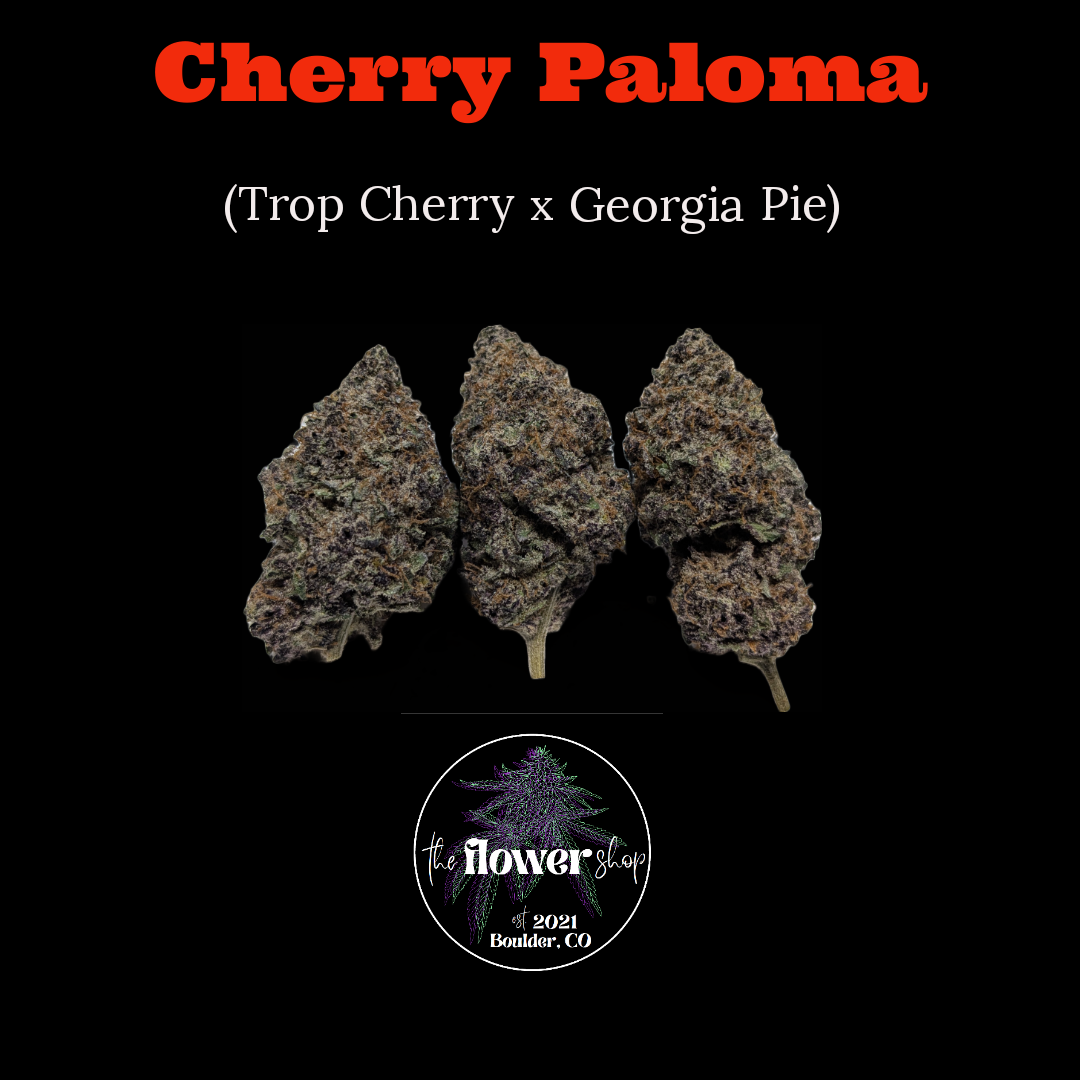 The Flower Shop - Cherry Paloma