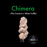 The Flower Shop - Chimera