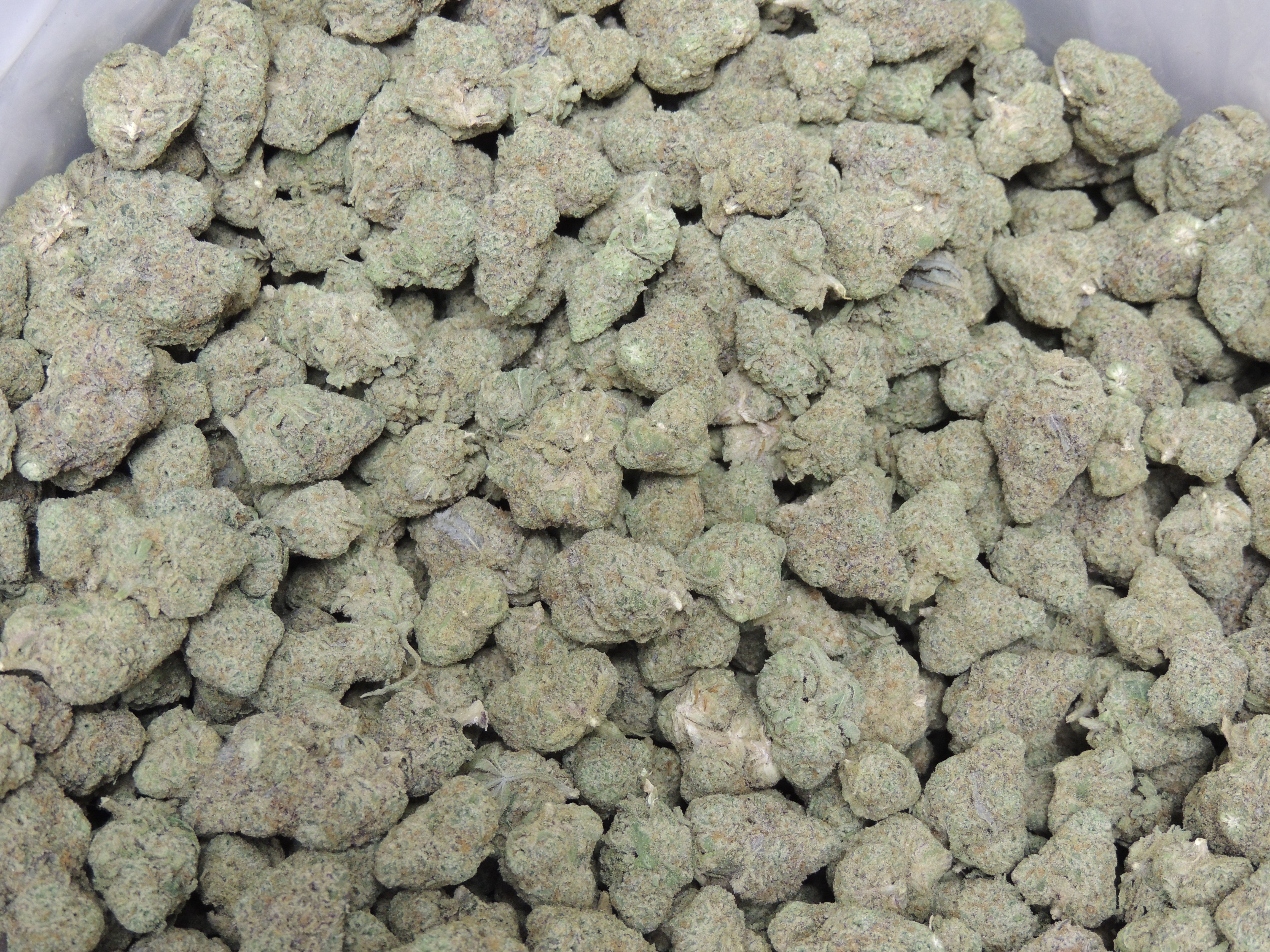 Deep Space - Full Buds