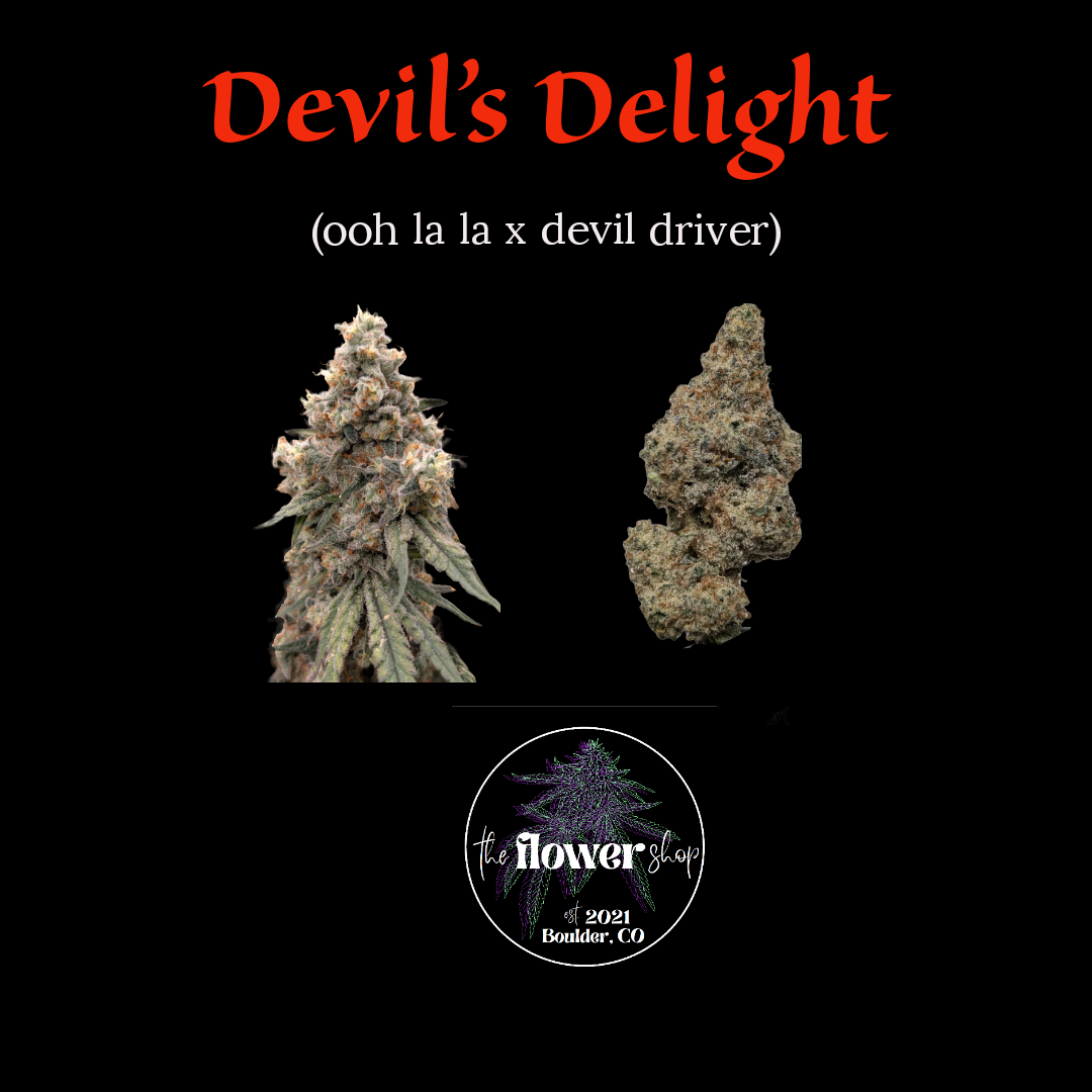 The Flower Shop - Devil's Delight
