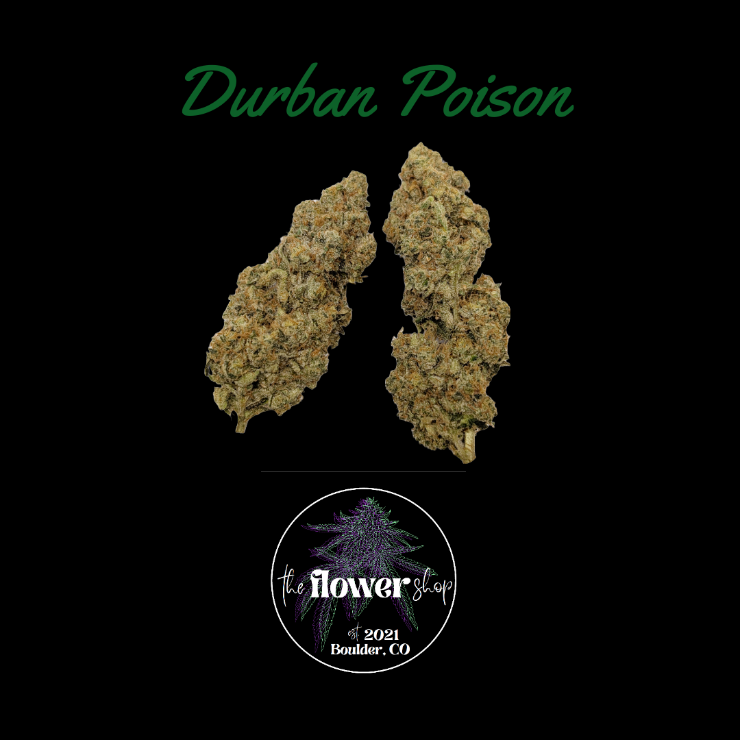 The Flower Shop - Durban Poison