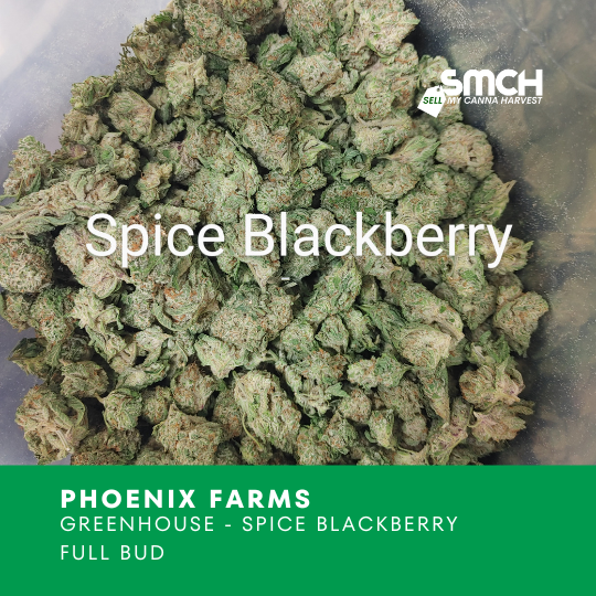 Phoenix Farms - MEDICAL - Spiced Blackberry