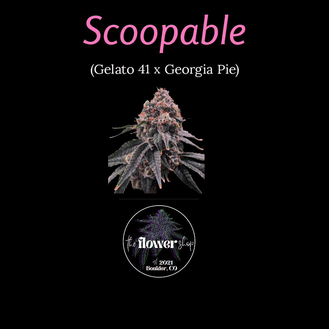 The Flower Shop - Scoopable