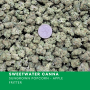 Sweetwater Canna - POPCORN - Apple Fritter