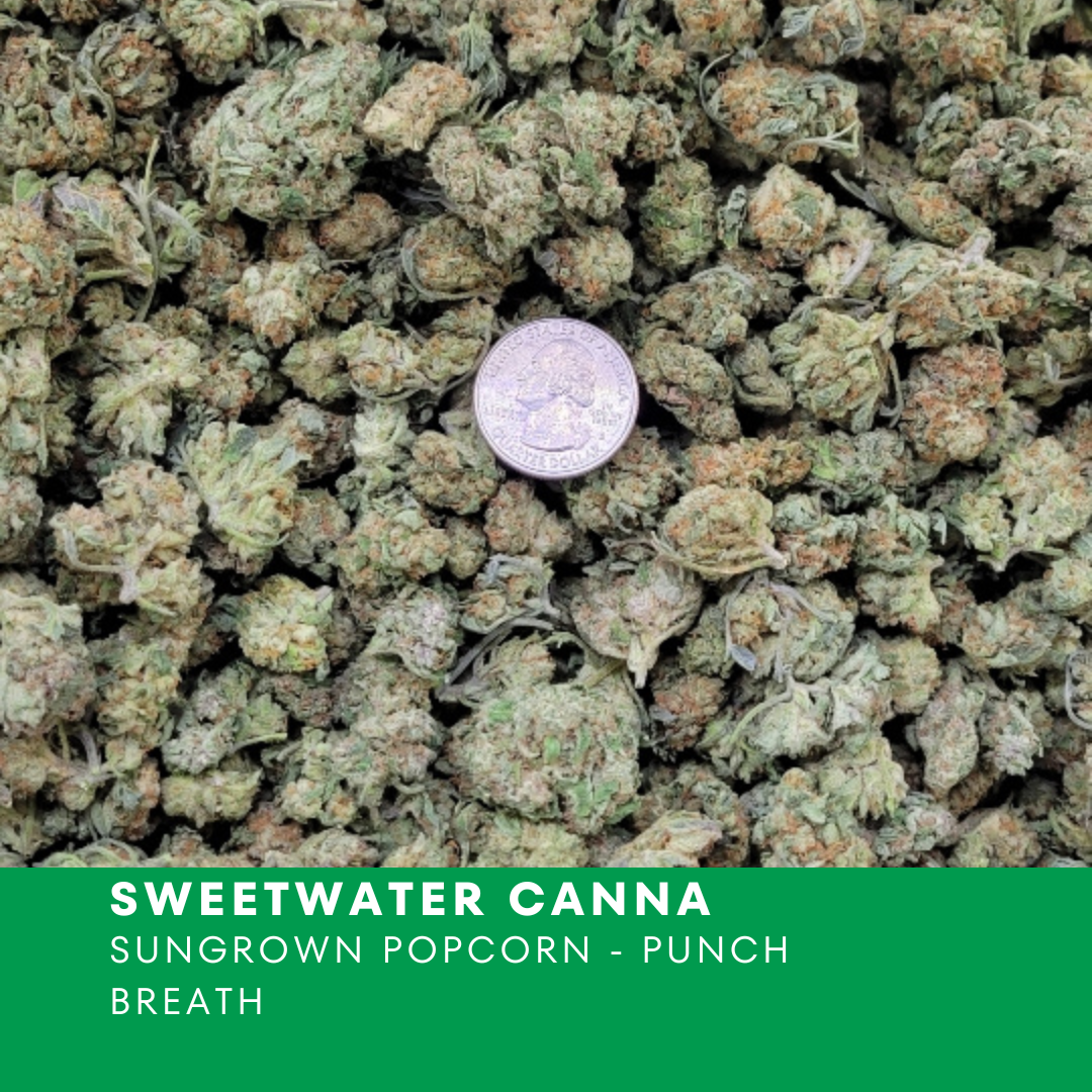 Sweetwater Canna - POPCORN - Punch Breath