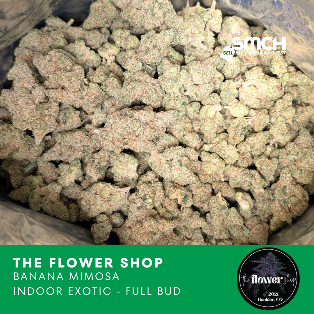 The Flower Shop - Banana Mimosa