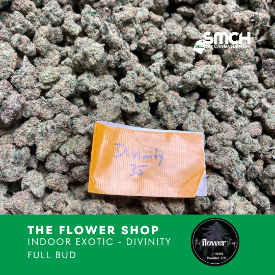 The Flower Shop - Divinity #35