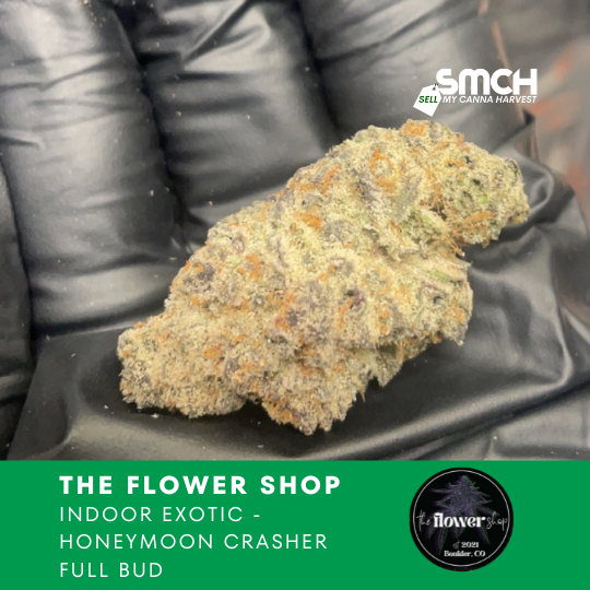 The Flower Shop - Honeymoon Crasher