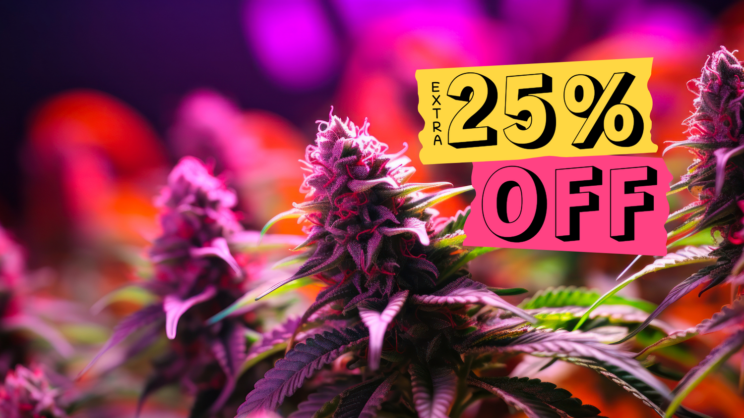 Sell My Canna Harvest