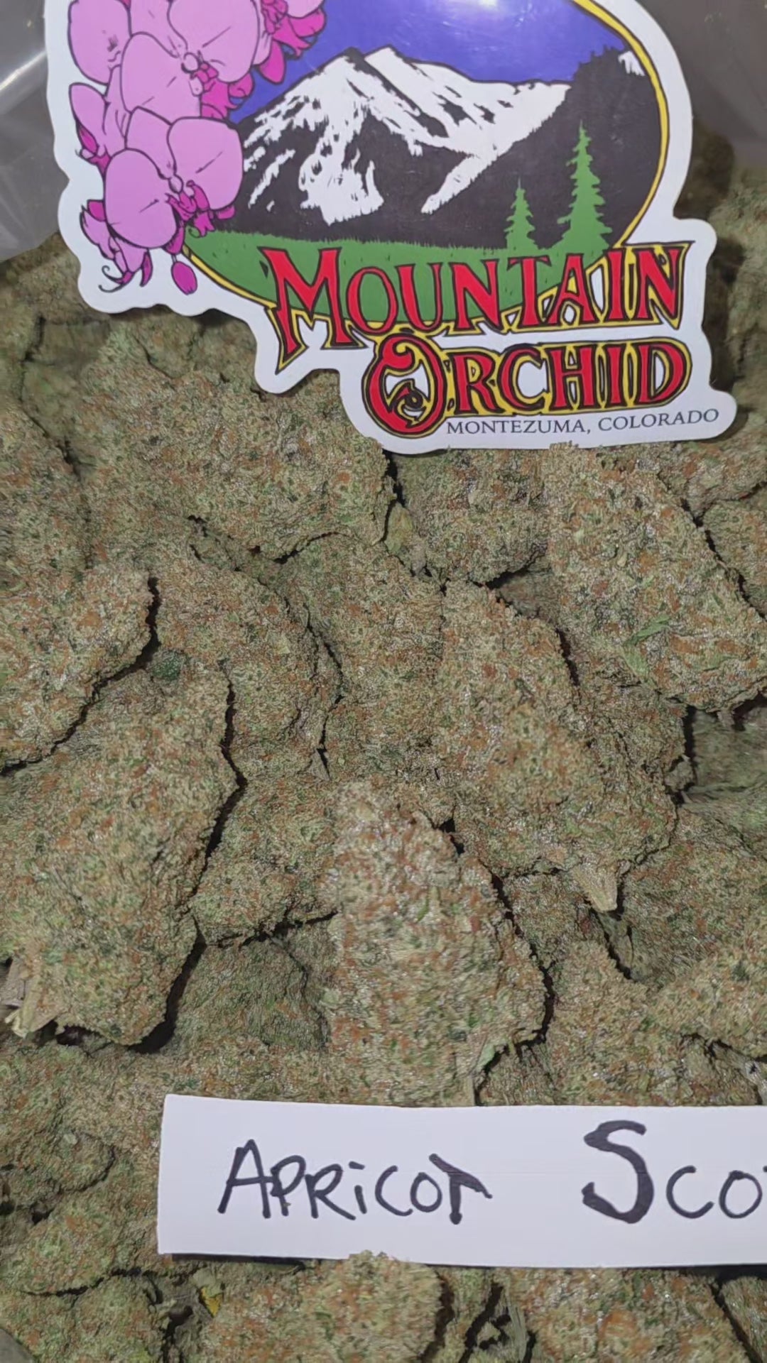 Load video: Apricot Scone