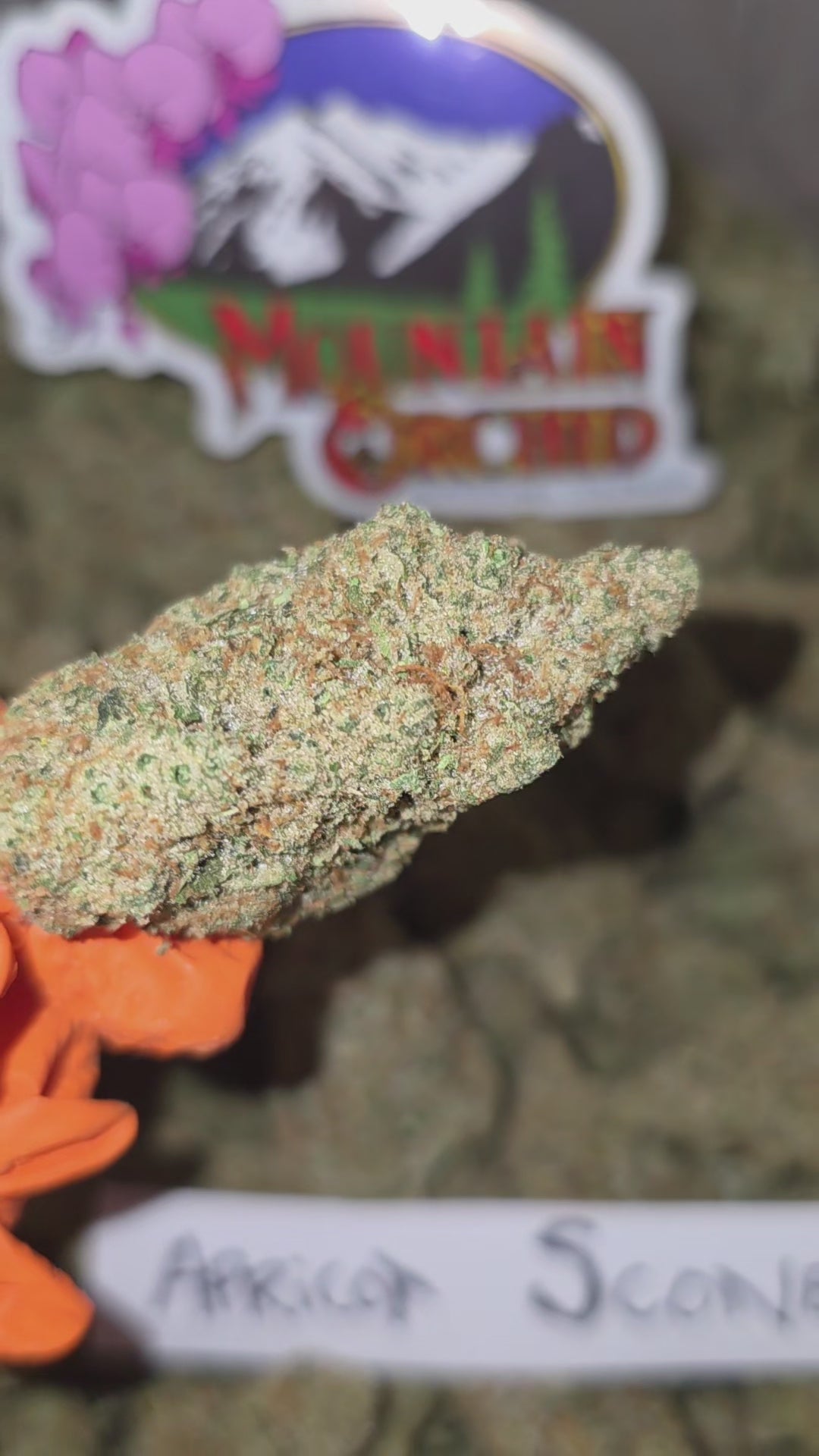 Load video: Apricot Scone